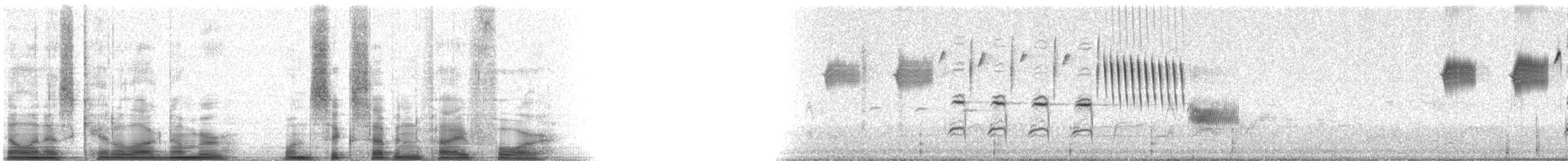 Song Sparrow - ML16754