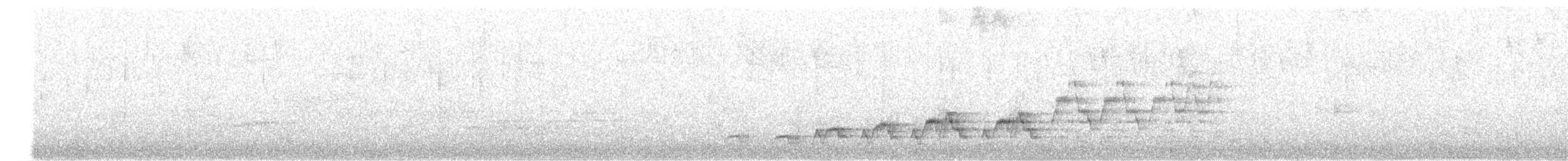 Tordo di Swainson - ML167557161