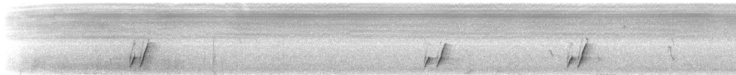 Krummschnabel-Spottdrossel [palmeri-Gruppe] - ML167574311