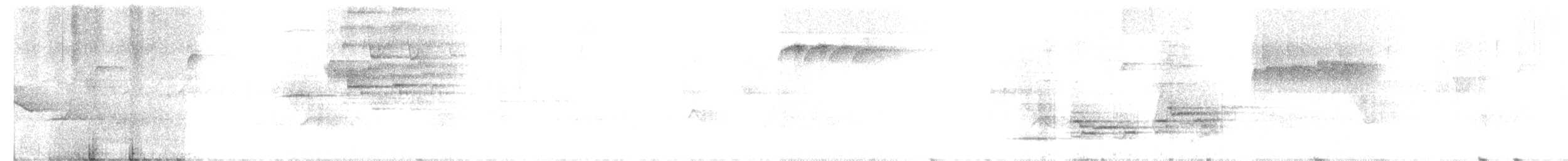 Дрізд-короткодзьоб плямистоволий (підвид faxoni/crymophilus) - ML167580311