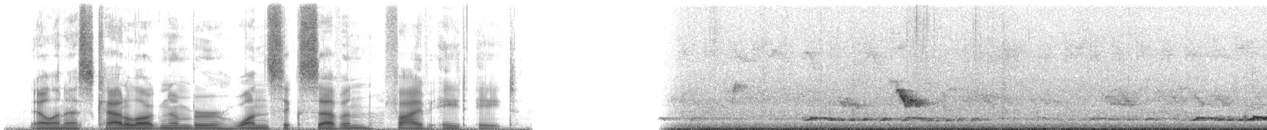 holoubek vlnkovaný - ML167588