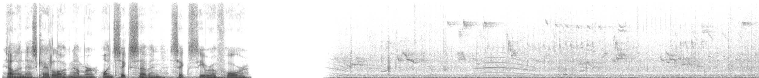 Echo Parakeet - ML167604