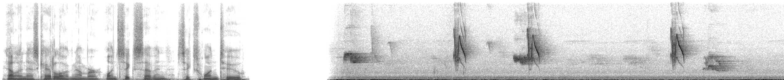 Zostérops gris - ML167612