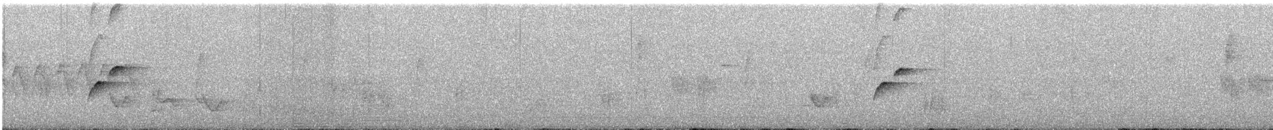 Batı Amerika Sinekkapanı (occidentalis/hellmayri) - ML167624681