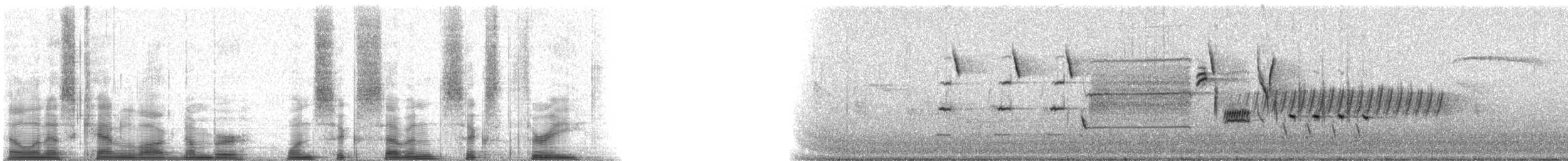 Song Sparrow - ML16763