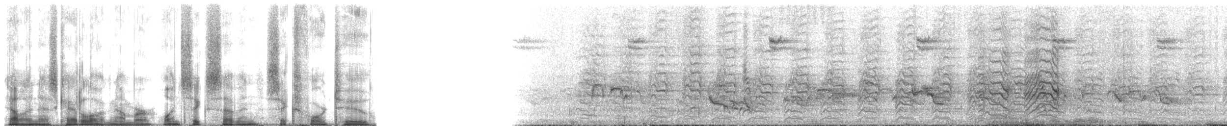 Echo Parakeet - ML167642