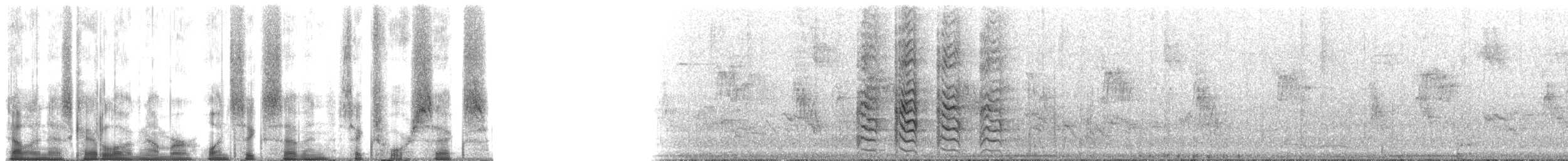 Echo Parakeet - ML167646