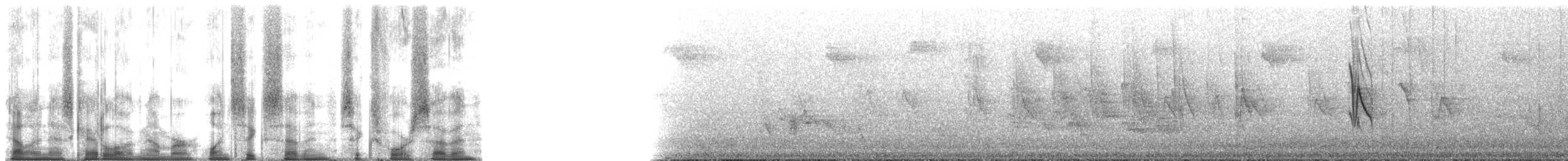 Zostérops gris - ML167647