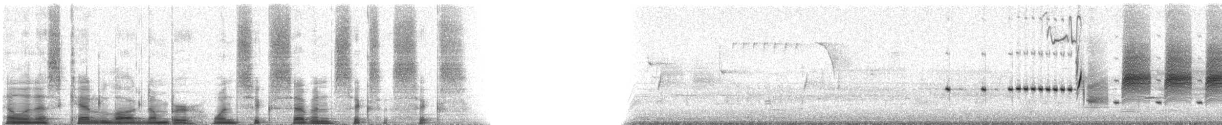 Song Sparrow - ML16766