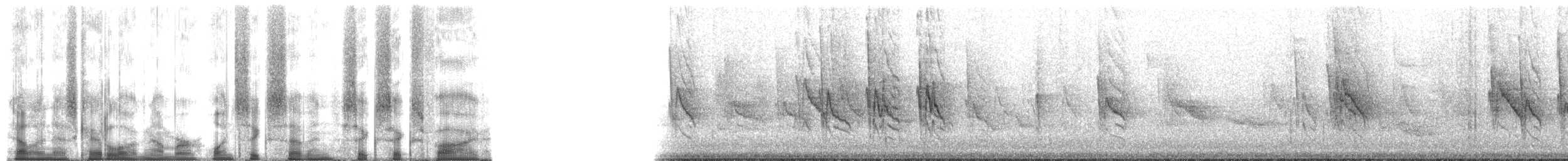 Zostérops gris - ML167665
