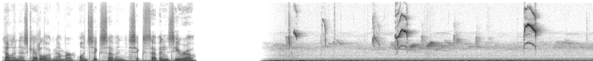 Zostérops gris - ML167670