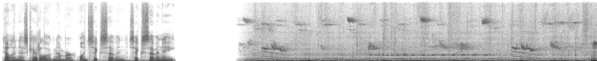 Echo Parakeet - ML167678