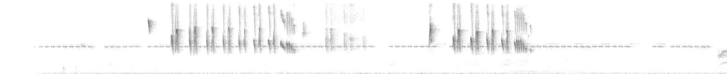 White-crested Tyrannulet (White-bellied) - ML167681421