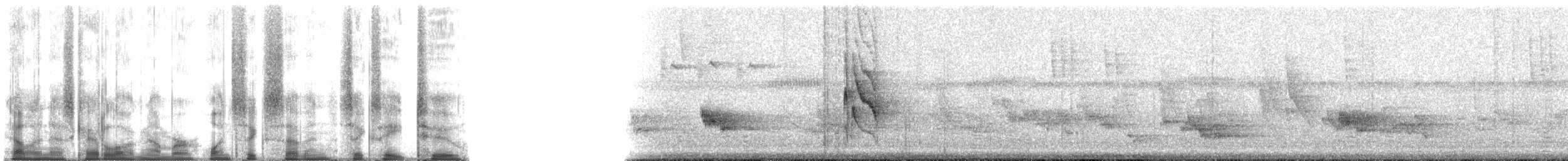 Zostérops gris - ML167682