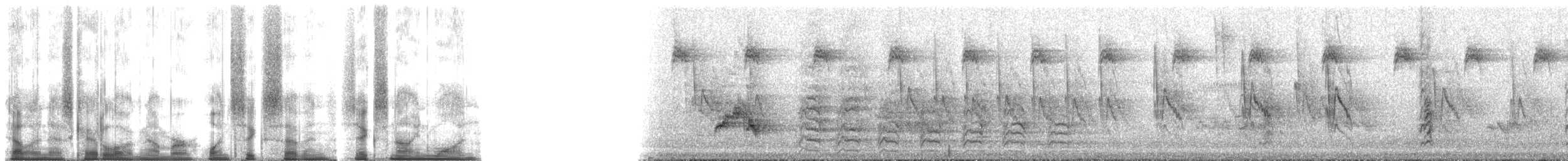 Echo Parakeet - ML167691