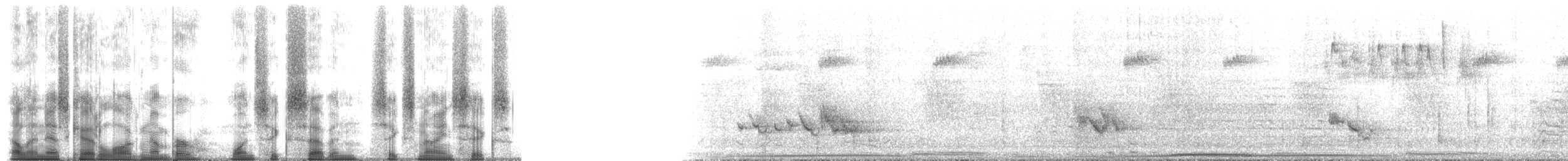 Echo Parakeet - ML167696