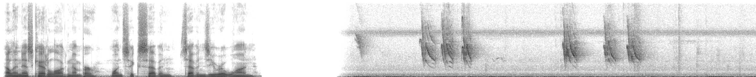 Zostérops gris - ML167701