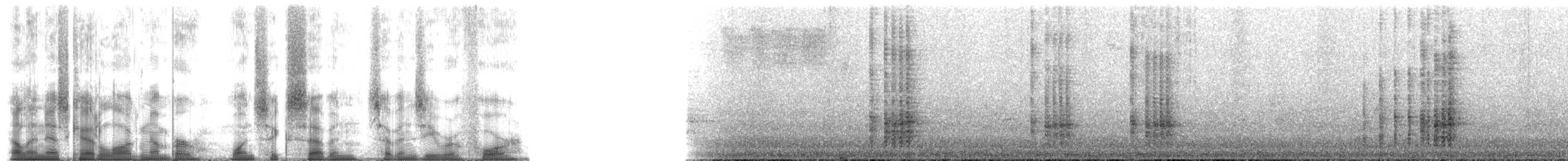 Крячок тонкодзьобий - ML167704
