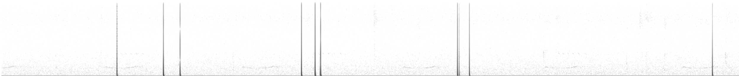 Шелкохвостый козодой - ML167711031