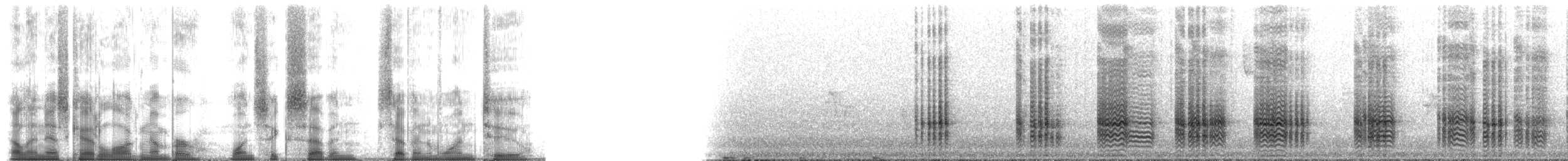 Крячок тонкодзьобий - ML167712