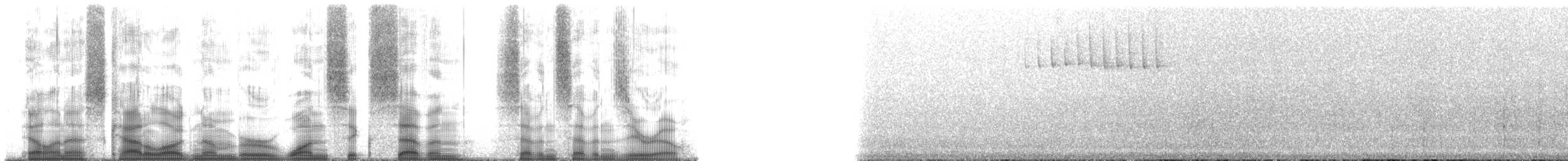 Rodrigues Fody - ML167770