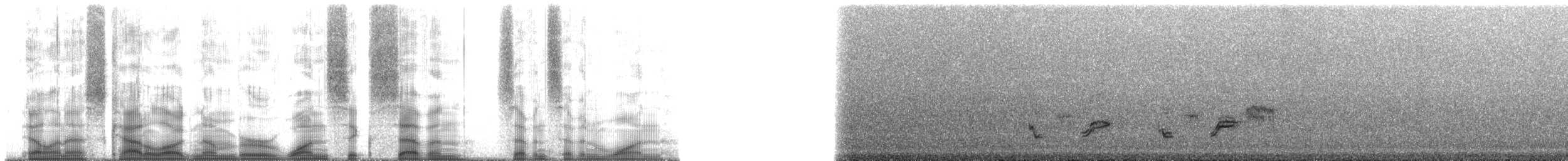 Rodrigues Warbler - ML167771