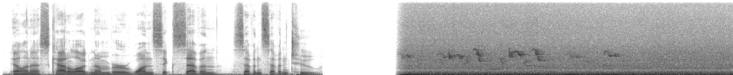 Rodrigues Warbler - ML167772