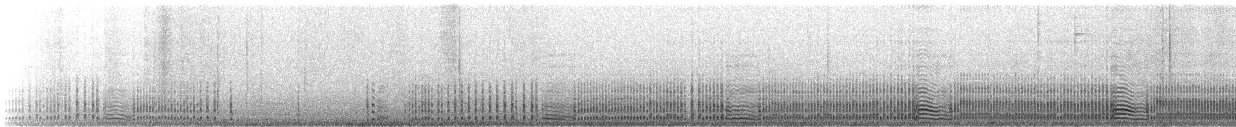 Sturmwellenläufer (pelagicus) - ML167773111