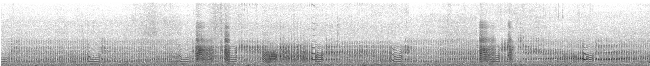 buřňáček malý (ssp. pelagicus) - ML167773171