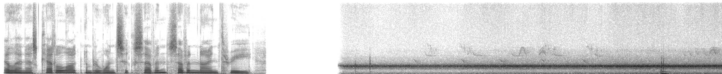 Pharaoh Cicada - ML167793