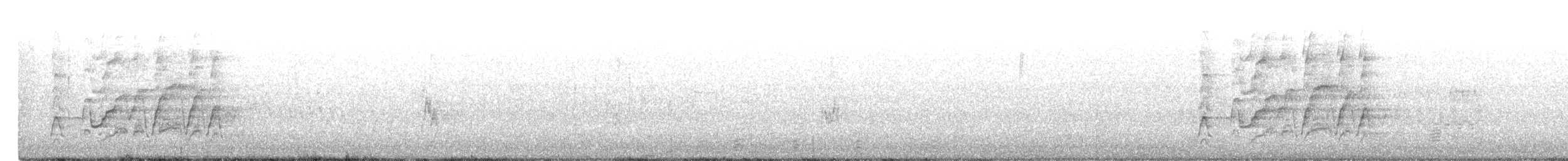 husička černobřichá - ML167794801