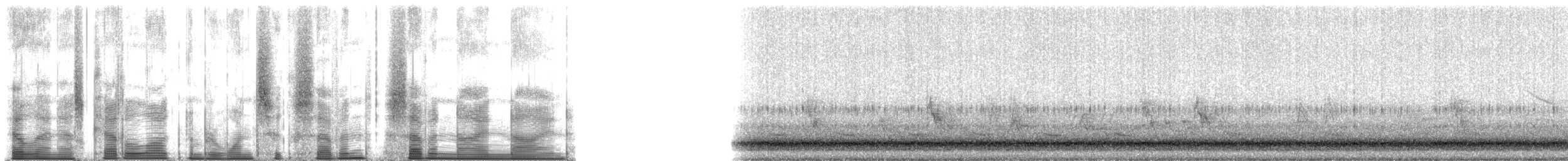 Pharaoh Cicada - ML167799