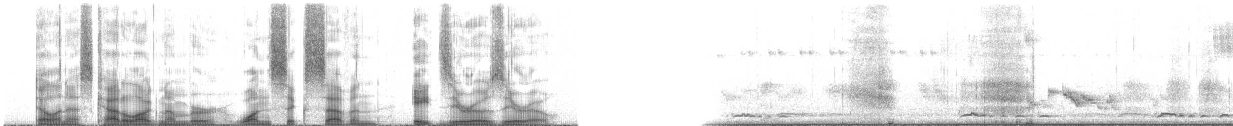 Aldabra Giant Tortoise - ML167800