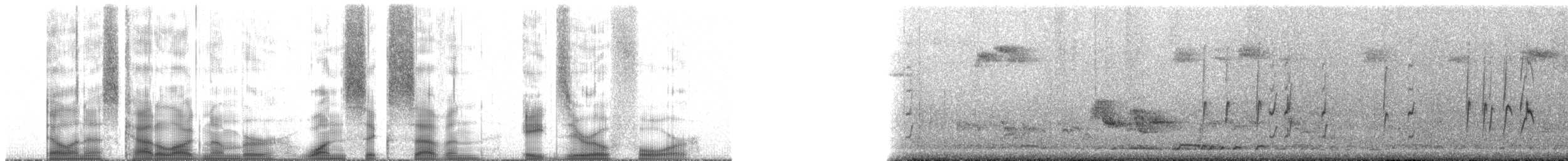 Mauritius White-eye - ML167804