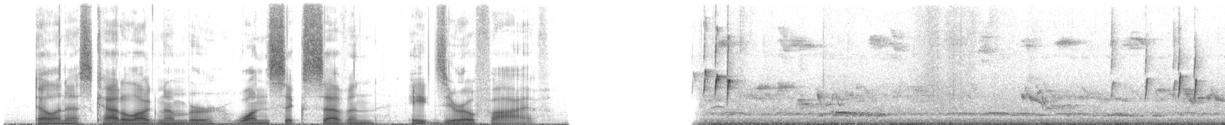 Mauritius White-eye - ML167805