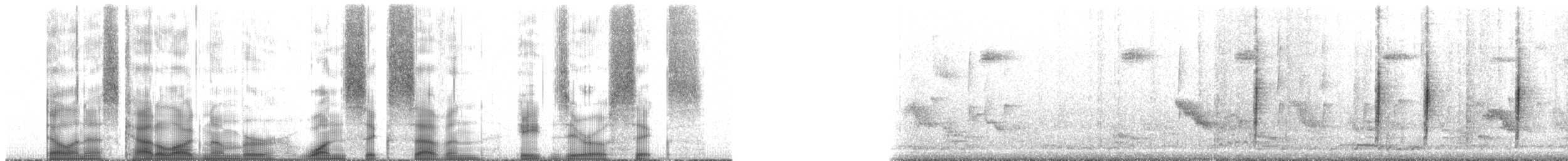 Morityus Fodisi - ML167806