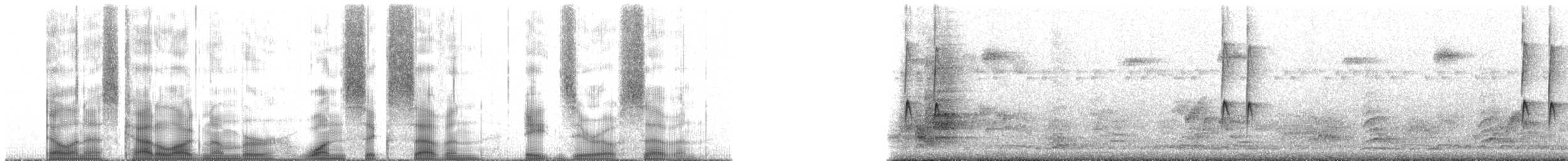 Morityus Gözlükçüsü - ML167807