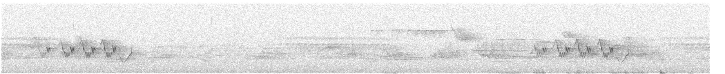 Черногорлая хвойница - ML167810141