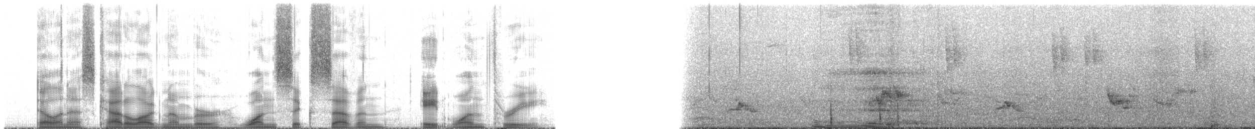 Aldabra Giant Tortoise - ML167813