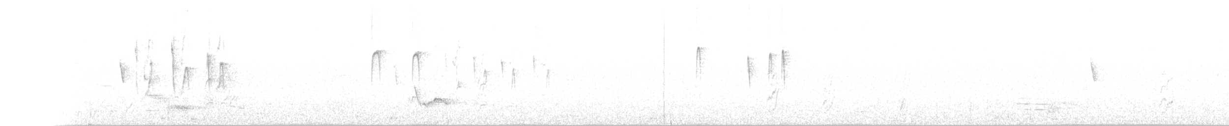 Тираник сіроголовий (підвид munda) - ML167816691