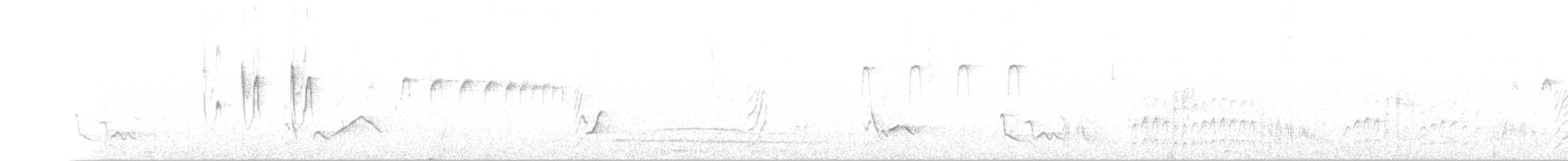 White-crested Tyrannulet (White-bellied) - ML167816721