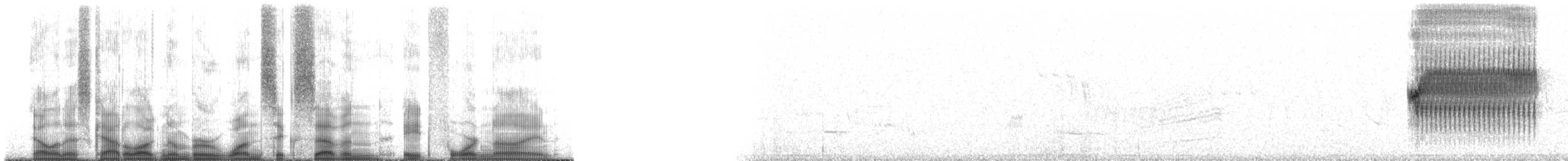 Пятнистый тохи - ML167849