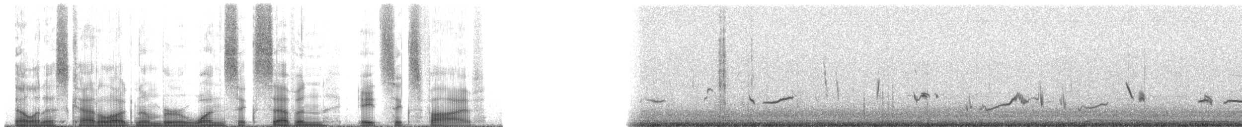 Cuitlacoche Pálido (lecontei/macmillanorum) - ML167865