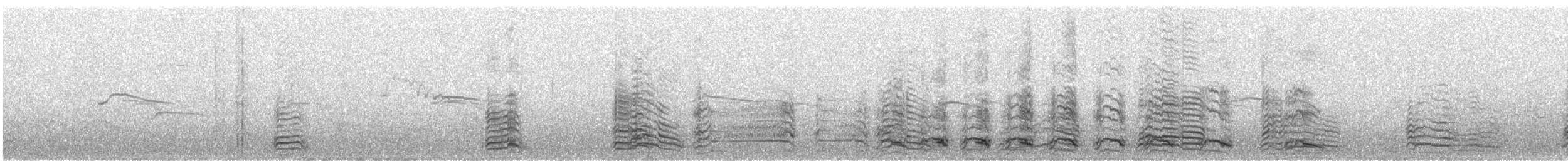 Lesser Black-backed Gull - ML167877811