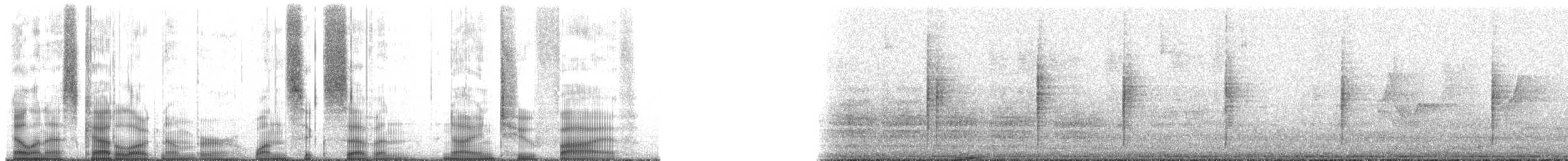 Трясохвіст темночеревий - ML167925