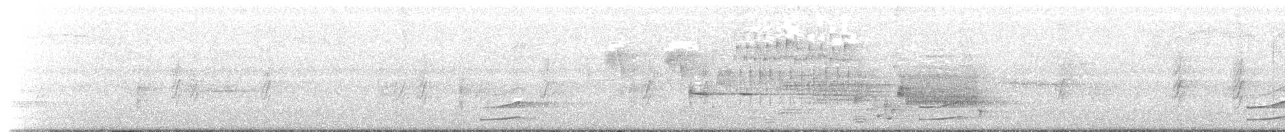 Ластівка сільська (підвид erythrogaster) - ML167941351