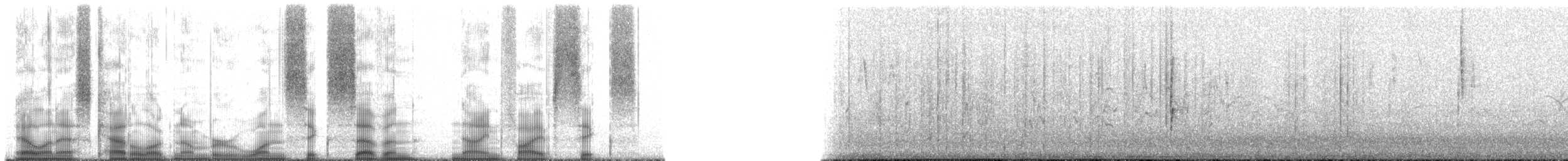 Tangara fourchu (darwinii) - ML167956