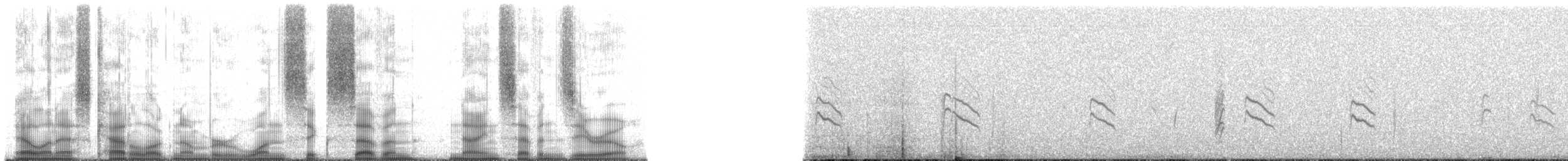 Black Siskin - ML167970