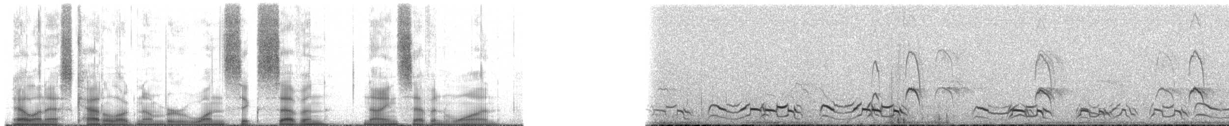 Puna Tinamou - ML167971