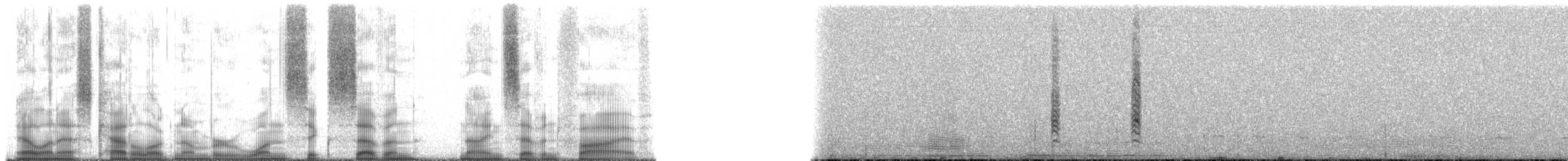 Schwarzzeisig - ML167975